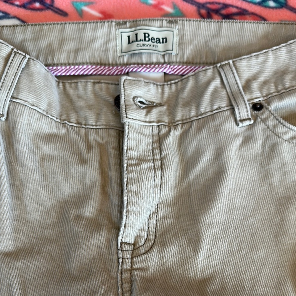 L.L. Bean Tan Chinos with Textured Cotton Blend